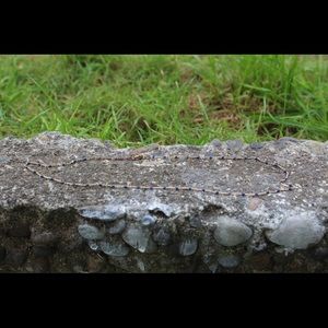 dainty gold chain blue bead necklace